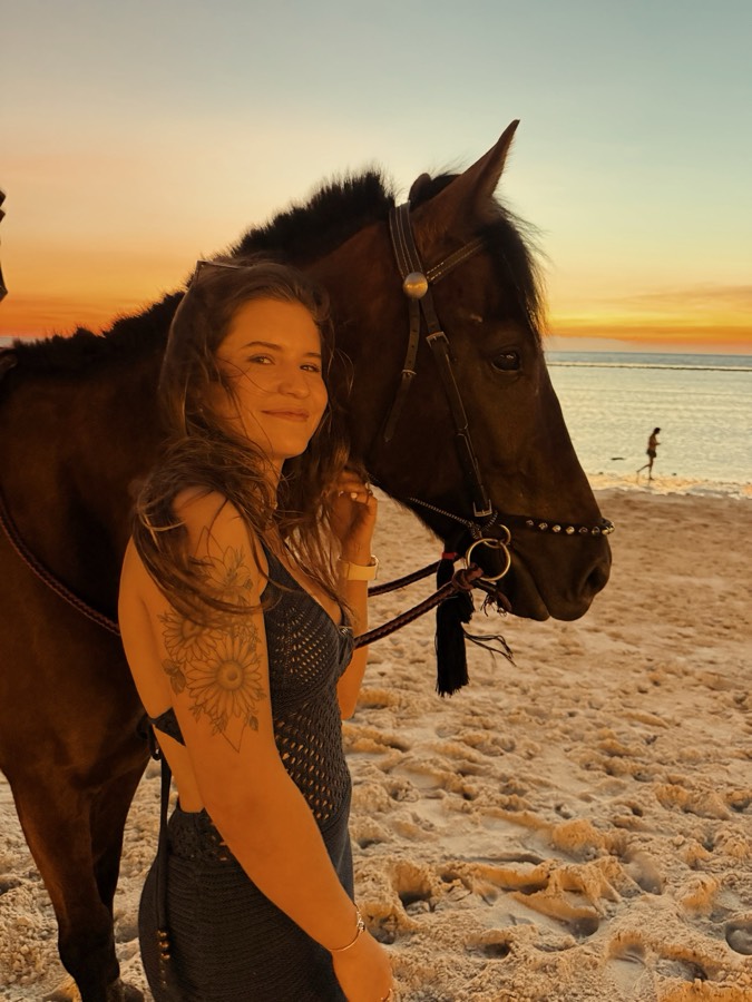 Cavalo na praia no fim da tarde