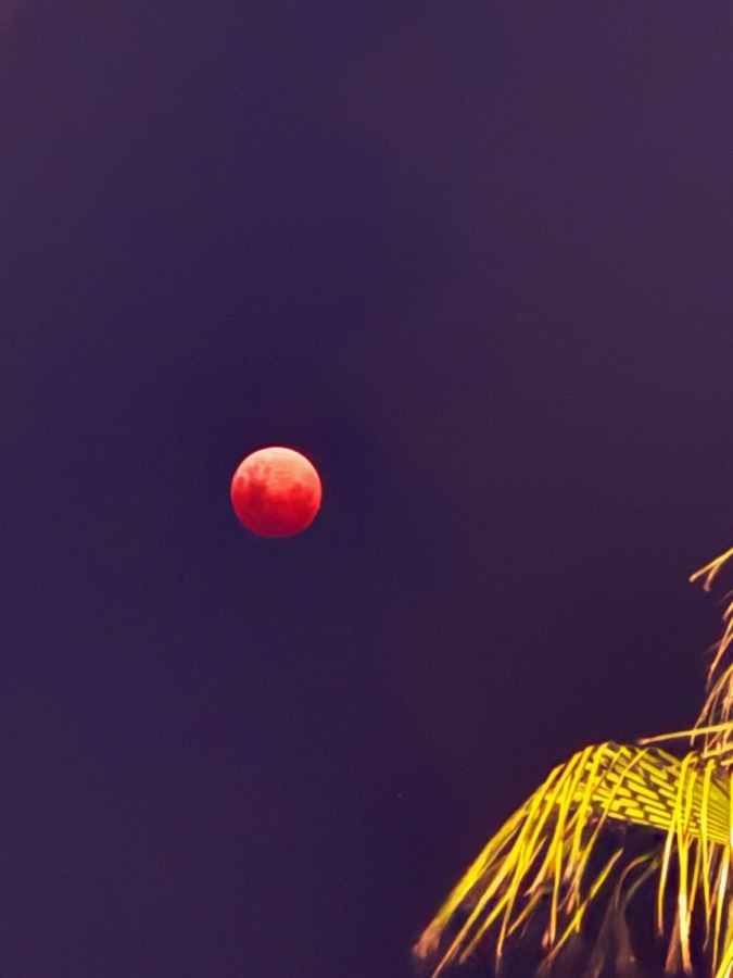 Lua vermelha no céu escuro